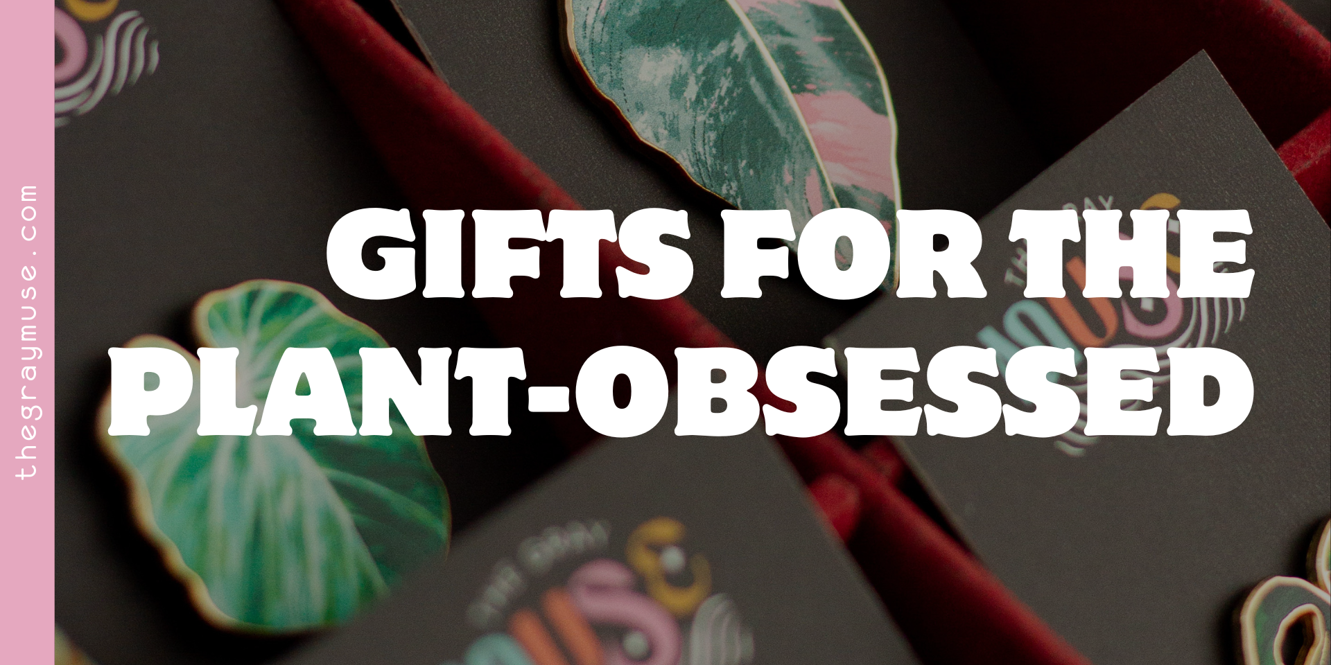 gifts for the plant obsessed blog image