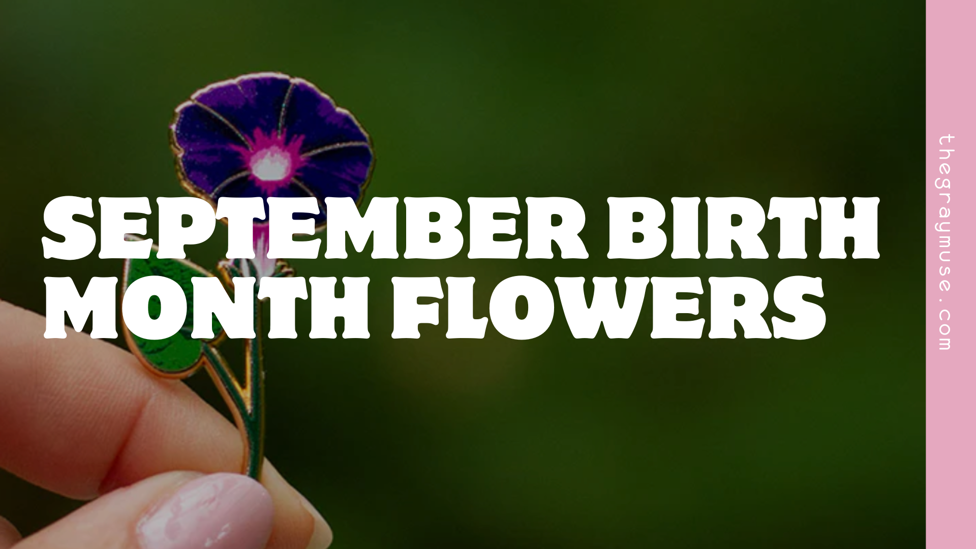 September Birth Month Flower Enamel Pins: Gifts For Birthdays