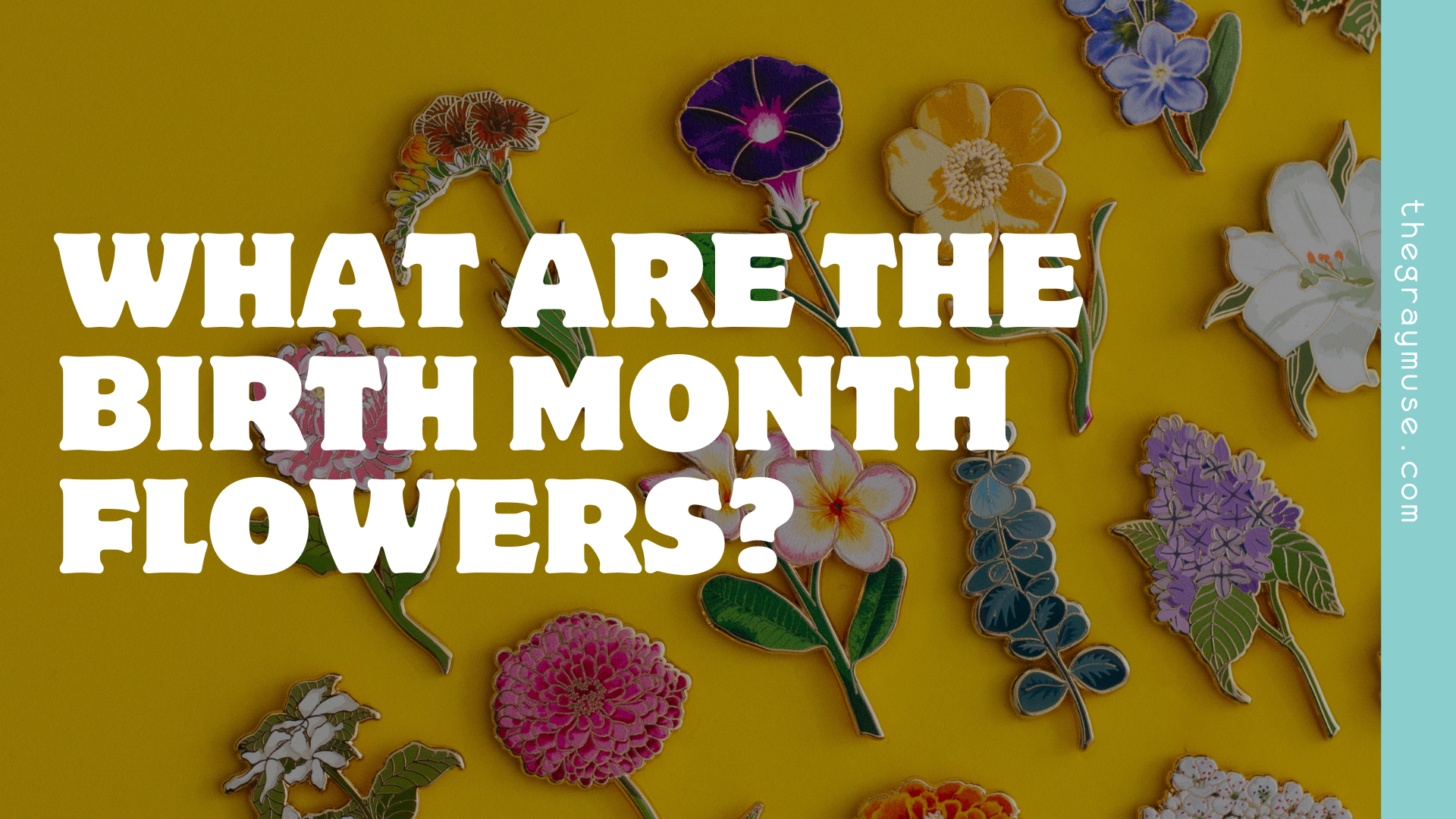What are the Birth Month Flowers?