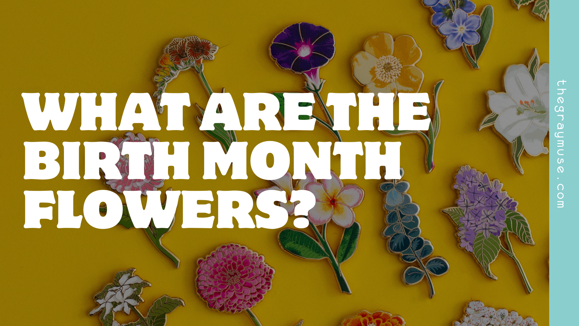 what are the birth month flowers blog