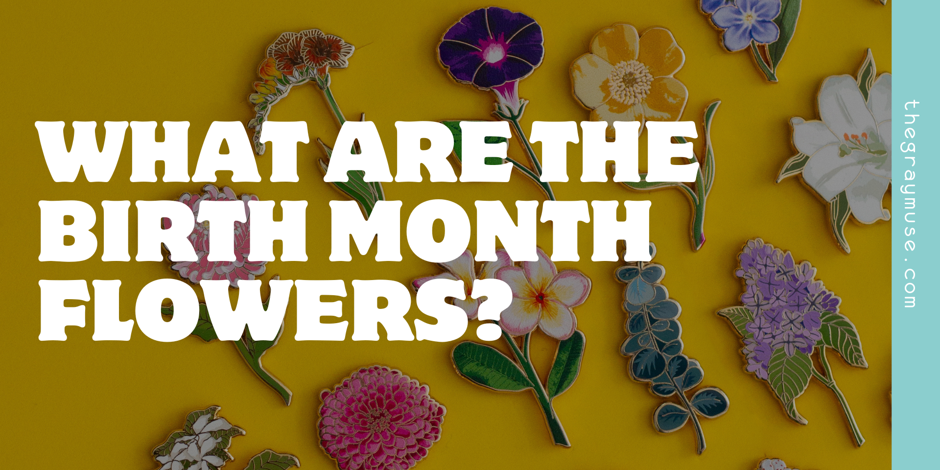 what are the birth month flowers blog