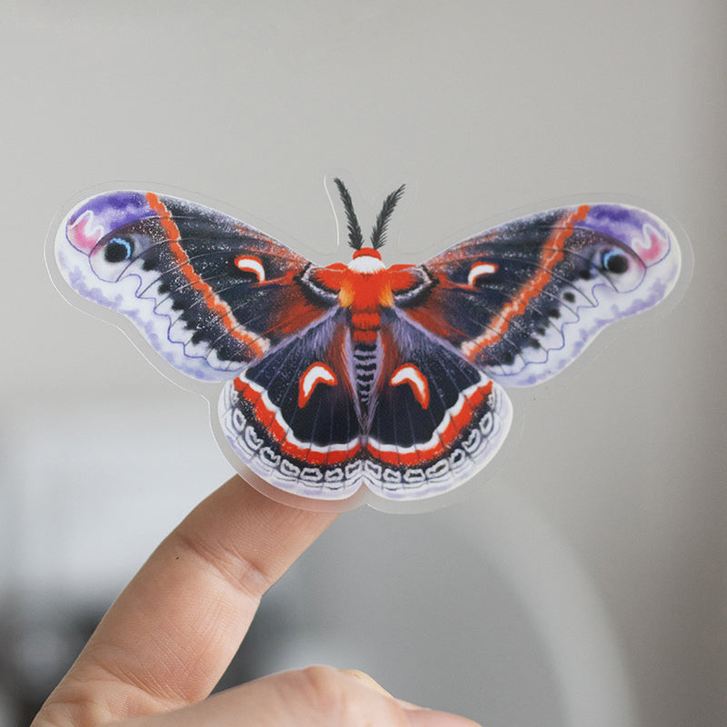 Insect Stickers