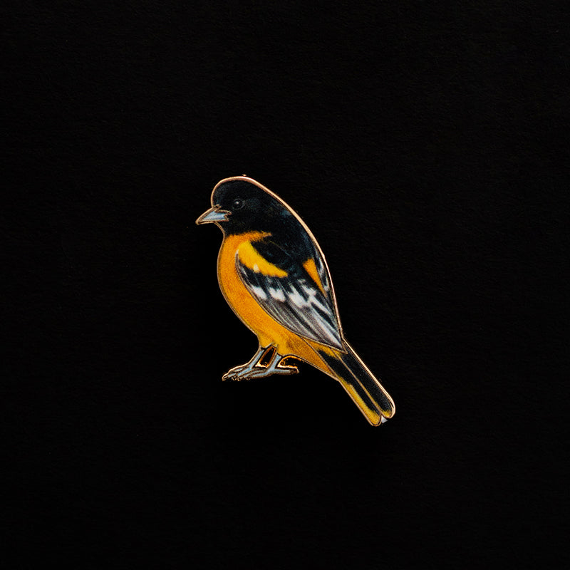 Baltimore Oriole enamel pin on a black background showing orange chest and black head details.