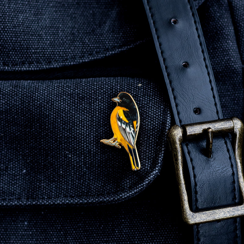 Baltimore Oriole enamel pin with orange and black feathers pinned to dark denim beside a brass belt buckle