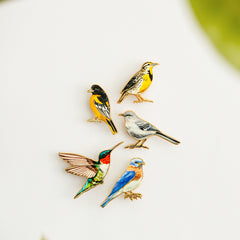 Five colorful bird enamel pins from Bird Watcher Set 2 arranged on a white surface.