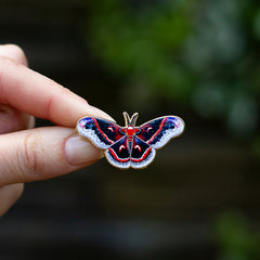 Cecropia moth enamel pin from the Butterflies and Moths collection shown on a black display card.