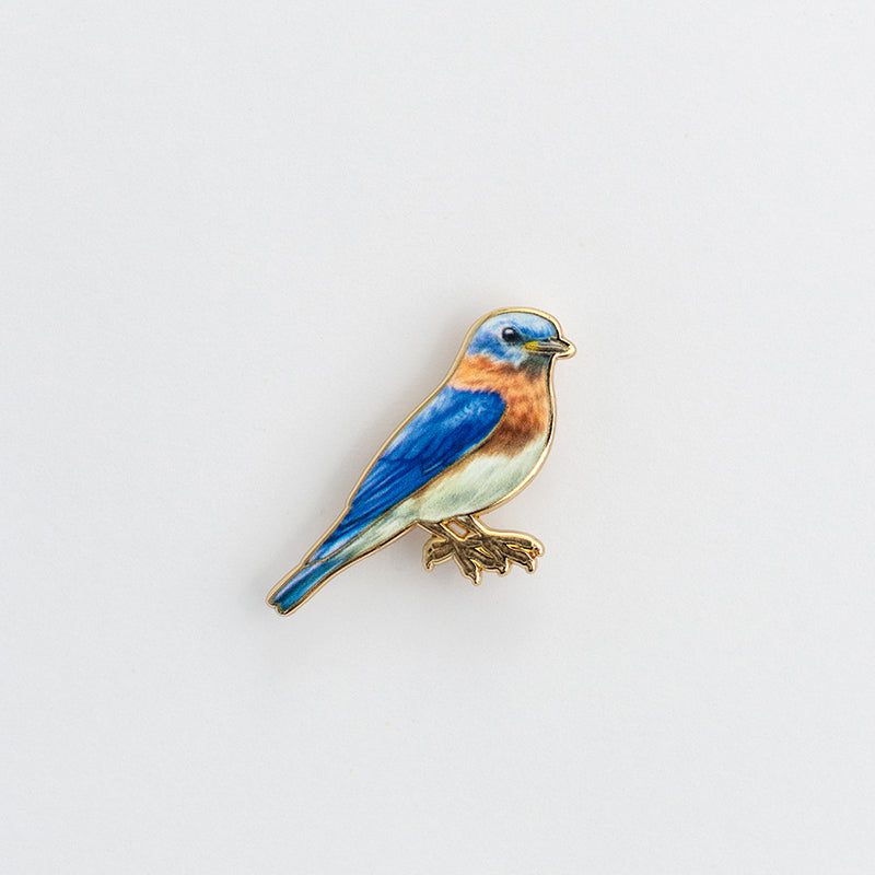 Eastern bluebird enamel pin shown against a white background.