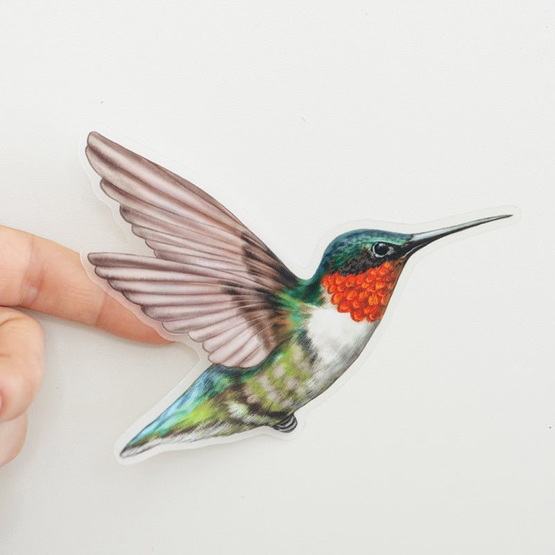 Hummingbird Stickr Hummingbird Matte Sticker – The Gray Muse