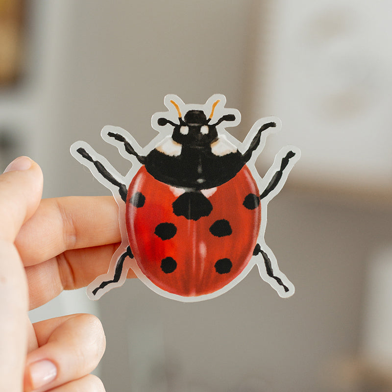 Blue Ladybug Sticker Ladybug Matte Sticker – The Gray Muse