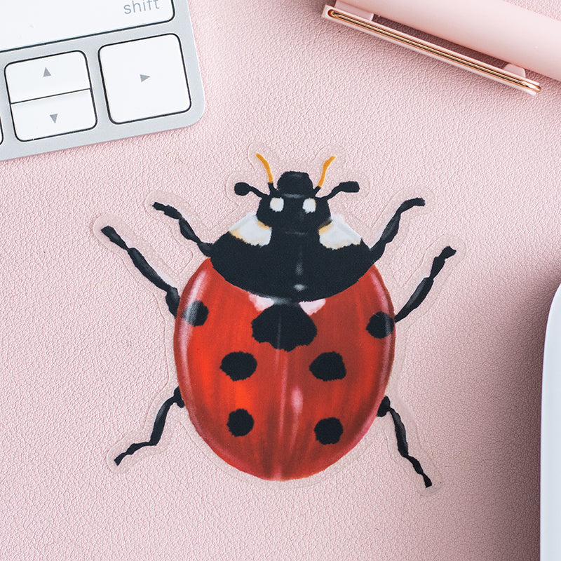 Ladybug Insect Sticker Door Ladybug Matte Sticker – The Gray Muse