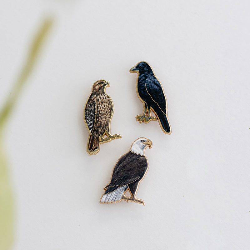 Three enamel bird pins Red-Tailed Hawk American Crow and Bald Eagle on a white backing card