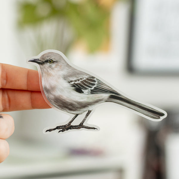 Northern Mockingbird Matte Sticker – The Gray Muse