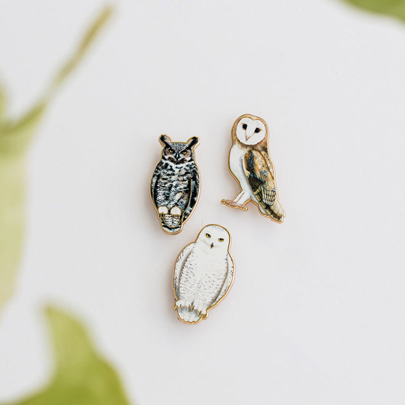 Three owl enamel pins Great Horned Owl Barn Owl Snowy Owl arranged on a white background.