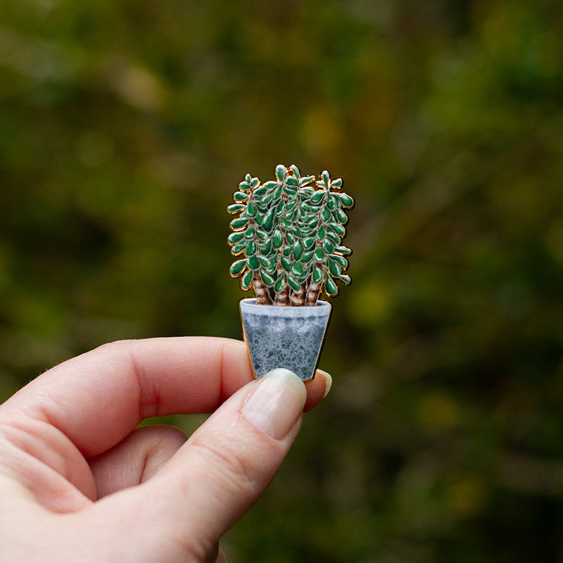 succulent enamel pin Jade Succulent Plant Enamel Pin | The Gray Muse