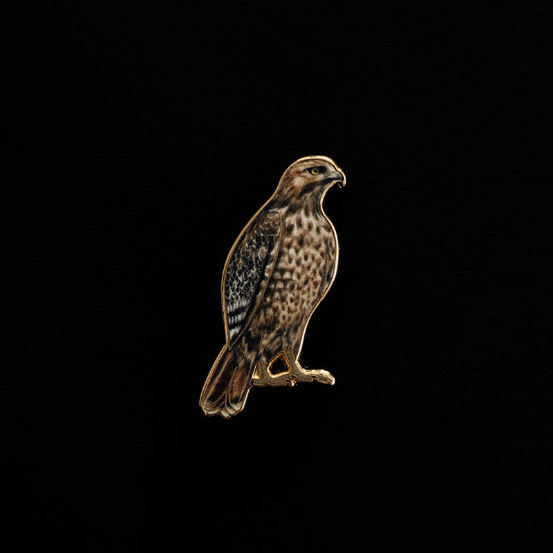Red-tailed hawk enamel pin with a gold outline and speckled chest on a black background
