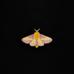 Rosy Maple Moth enamel pin with pink and yellow wings on a black background, 1.6 inches wide.