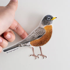 Hand holds a 3.7-inch clear matte sticker of an American robin with orange chest.