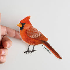 Close-up of a Northern Cardinal sticker held between fingers.