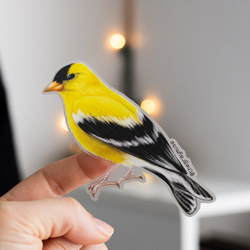 Eastern Goldfinch Bird Matte Sticker | Iowa, New Jersey, Washington St ...