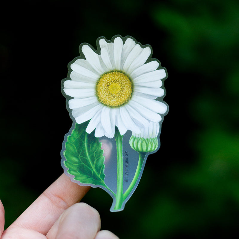 Daisy Rider Sticker Daisy Floral Matte Sticker – The Gray Muse