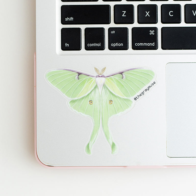 Luna Moth Sticker Luna Moth Matte Sticker – The Gray Muse