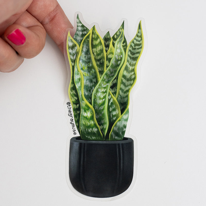 snake plant sticker Snake Plant Matte Sticker – The Gray Muse