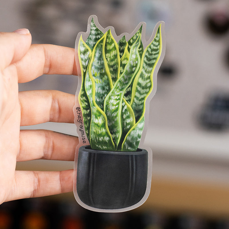 snake plant sticker Snake Plant Matte Sticker – The Gray Muse