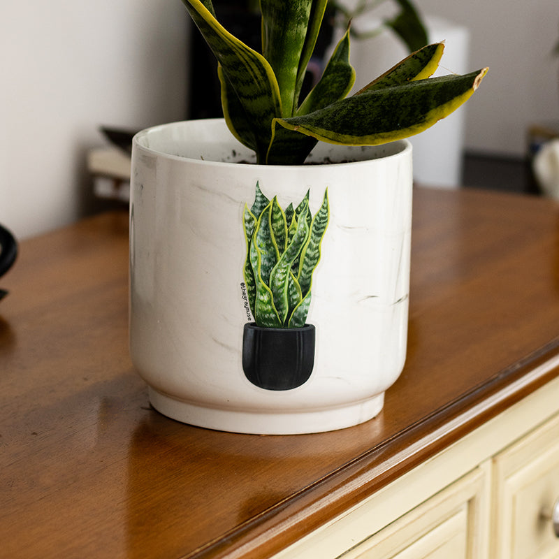 snake plant sticker Snake Plant Matte Sticker – The Gray Muse