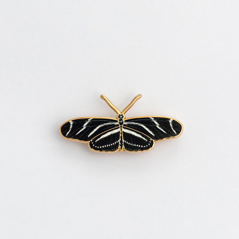 Zebra Longwing butterfly enamel pin with black and white striped wings and gold edge on a white background